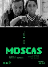 Filmplakat Moscas